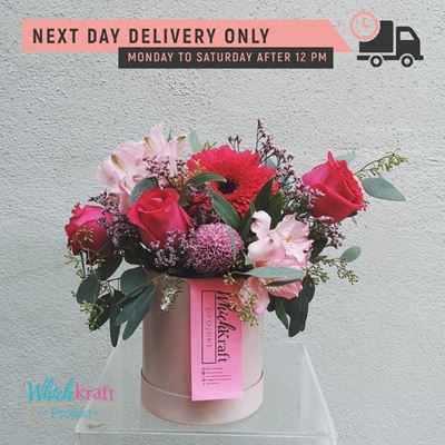 Picture of Bloom Box - Pink (WKP)