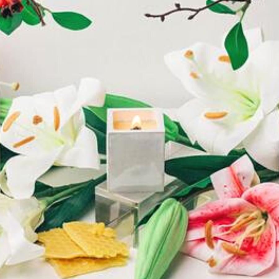 MINI SERIES #04 (ANBO) - White Lily, Sweet Orange, Bergamot, Aloe & Rosehip Tea [+RM 38.00]