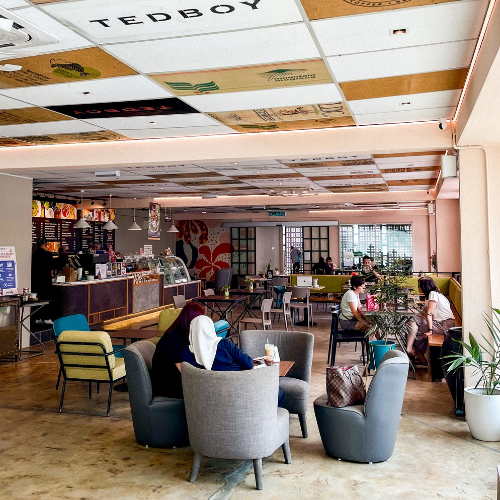 TEDBOY Outlets | Tedboy